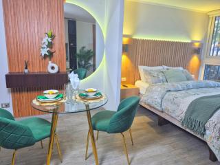Oasis in Santiago, free parking, pool and gym - 2
