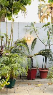 Girish Ashray Premium Homestay - 3