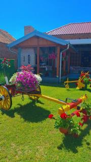 Apartman Villa Ruža - 8