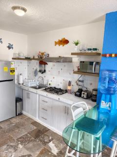 Caribe Soul Studio Marlin - 2