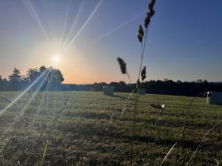 Sunrise Tent - 0