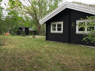 Log House Near A Child-Friendly Sandy Beach - 4