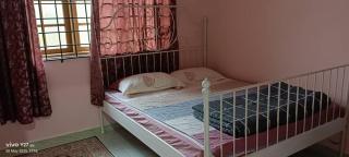 Homestay Pohon Buluh - 3