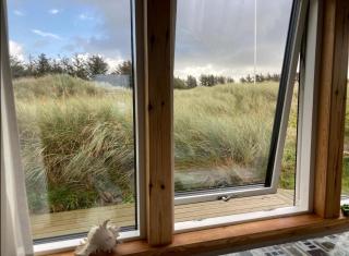 Welcome To This House In The Dunes - 1