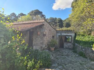 El Valle - 4