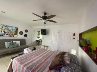 Cozy Studio near Coconut Grove - 4