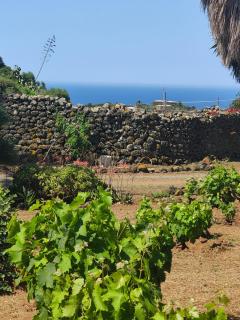 Dammuso Magia con Piscina - 7