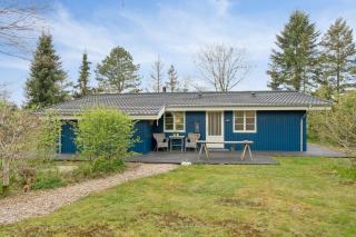 Cozy Holiday Home Near The Gudenå - 7