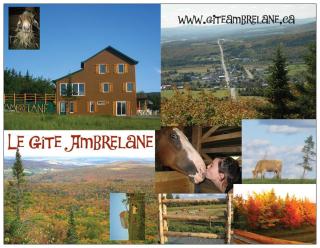 Le Gîte Ambrelane - Thetford Mines - 2