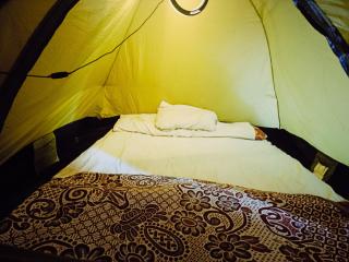 Hostel Dream - 9