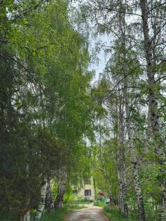 Гостевой дом Бир Асман - 6