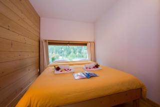 Résidence Grand Roc - Ancolies 220 - Happy Rentals - 9