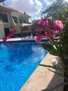 Villa Hana - Green Beach - Private Pool - 8