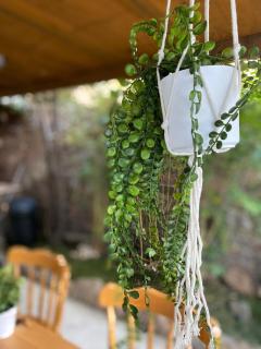 Eden House - 7