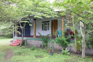 Wild Adventure Resort Masinagudi - 1