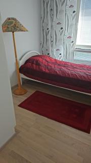 Saunallinen kolmio, Härmälän ranta,messukeskus, Tampere - 6