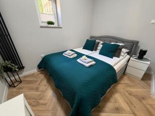 Apartamenty Sienkiewicza 41 - Kielce - 6