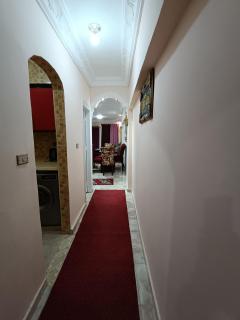 شقق للايجار بالاسكندرية - 0
