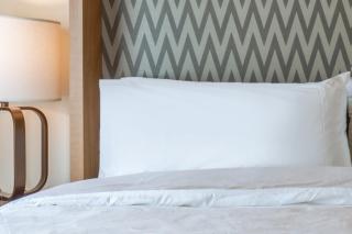 Holiday Inn & Suites Cedar Falls-Waterloo Event Ctr by IHG - 9