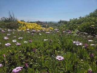 Charming House in Furbo 14 mins from Galway - 7