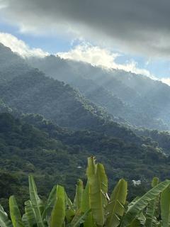 Villa Roca Ocean to Mountain Views - by Pura Villas - 4
