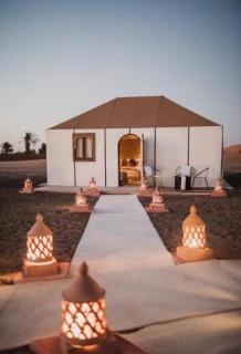 Camp Sahara luxury - 0
