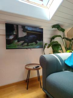 Family room in a House in Allschwil, Basel - 5