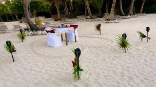 Beachfront Estate Luxury Retreat - 4