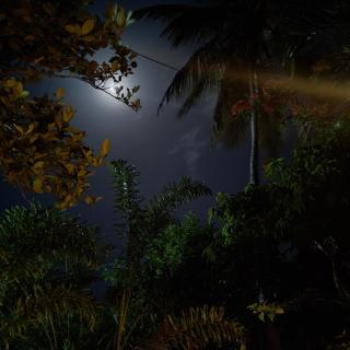 Casa Cayena - Tangalle - 5