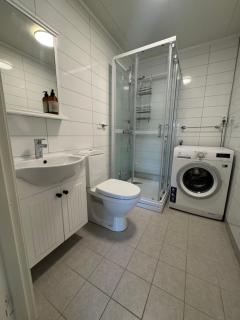Leilighet midt i sentrum - 2