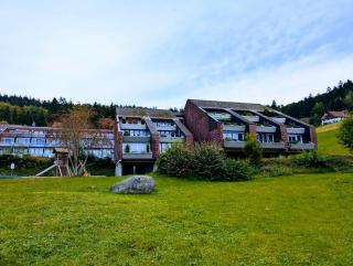 Hirschmusik Schwarzwald auf 750m inklusive Hallenbad - 3