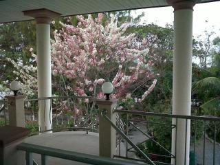 Kasem Garden Hotel Surin - 9