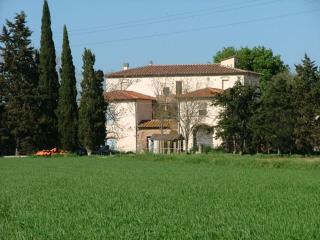 Podere S.Giulia - casale Banditelle - Venturina Terme - 5