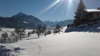 Oberfischergut - Flachau - 3