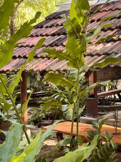 MONSOON Eco Resort - Arugam Bay - 2