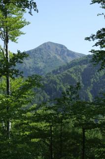 Farm Pri Flandru - Cerkno (Circhina) - 5