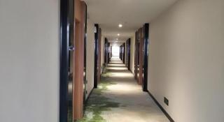 GreenTree Inn Xinxiang Fengqiu County Xingfu Road - 3