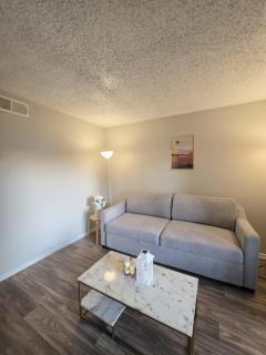 Modern 1BHK Near FIFA Dallas Stadium - Includes Free Stadium Drop-Off!" - 0