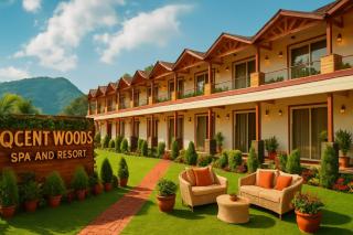 Qcent Woods Resort & Spa, Rishikesh - 7