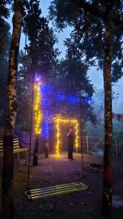 Bambooleaf - 7