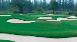 Lake View Hotel And Golf Club - 7