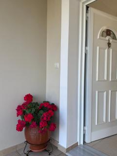 Irini's country house - 5