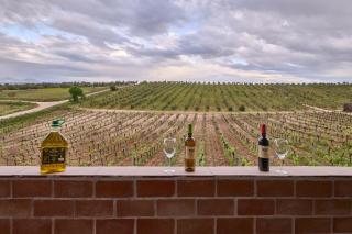 FINCA VALDELAJARA a 20 minutos de Puy du Fou - 7