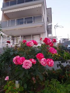 Sotiria Sea Side Luxury villa - 2