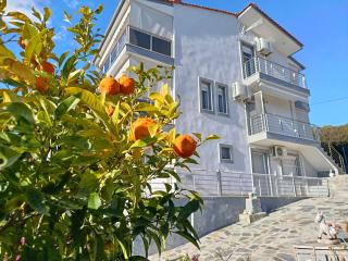 Sotiria Sea Side Luxury villa - 1