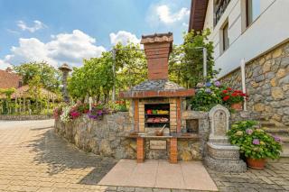 Vineyard Homestead Vrtin - Happy Rentals - 8