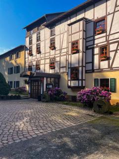 Hotel in der Mühle - 8