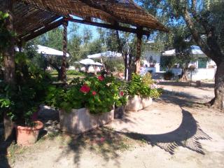 Casa Vacanza Fiorella - Torre dell'Orso - 0