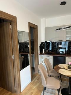 Dar A&T Zlatibor - Apartman i spa - 4