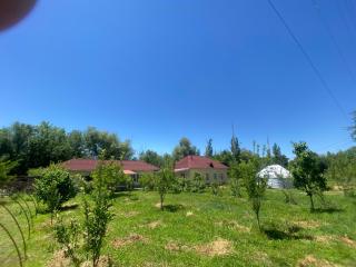 DANIEL Guest House - 6